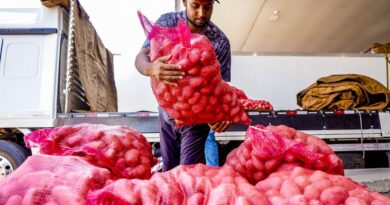 Conab aponta queda de preço da batata e alta da cebola e tomate