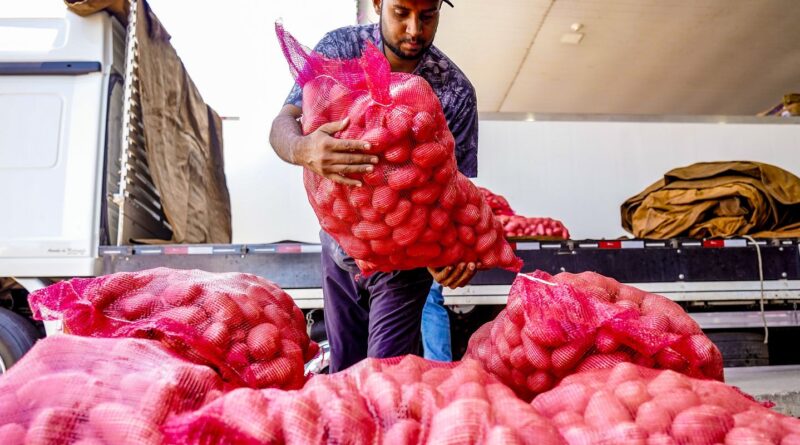 Conab aponta queda de preço da batata e alta da cebola e tomate