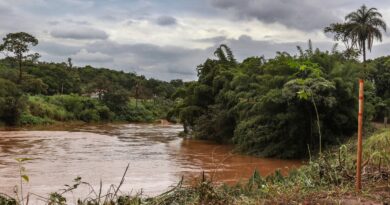 Estudo detecta presença de metais na urina de crianças em Brumadinho