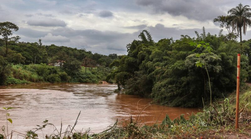 Estudo detecta presença de metais na urina de crianças em Brumadinho