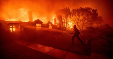 Incêndios florestais em Los Angeles deixam ao menos cinco mortos