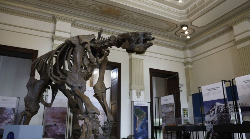 Museu de Ciências da Terra será revitalizado no Rio