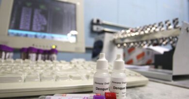 Saúde encaminha 2 milhões de testes rápidos de dengue para São Paulo