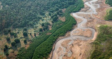 Turismo e crise climática: os caminhos sustentáveis para a Amazônia