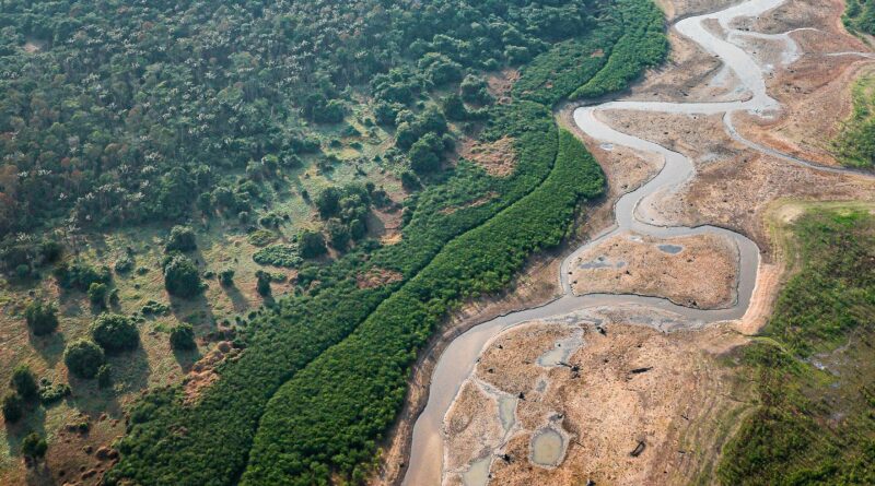 Turismo e crise climática: os caminhos sustentáveis para a Amazônia