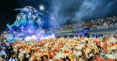 veja enredos das escolas de samba do Grupo Especial de São Paulo