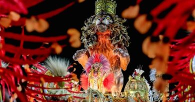 veja enredos das escolas de samba do Grupo Especial do Rio de Janeiro