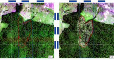 BNDES usa imagens de satélite para barrar empréstimo a desmatadores