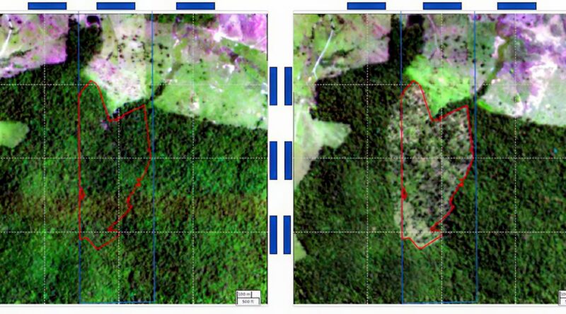 BNDES usa imagens de satélite para barrar empréstimo a desmatadores