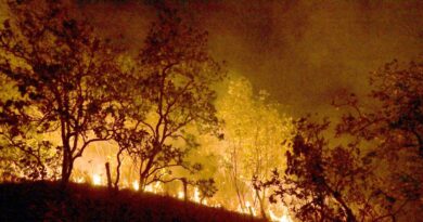 Bombeiros combatem mais de 500 incêndios no Rio de Janeiro