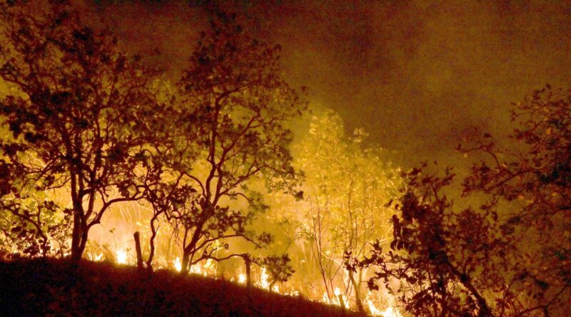 Bombeiros combatem mais de 500 incêndios no Rio de Janeiro