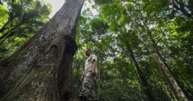 Conabio lança novas metas de conservação da biodiversidade para 2030