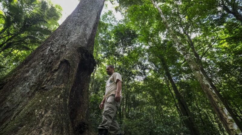 Conabio lança novas metas de conservação da biodiversidade para 2030