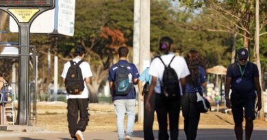 Consulta pública recebe sugestões sobre taxonomia sustentável no país
