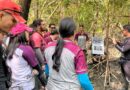 Educação ambiental aproxima estudantes do maior manguezal do planeta