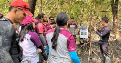 Educação ambiental aproxima estudantes do maior manguezal do planeta