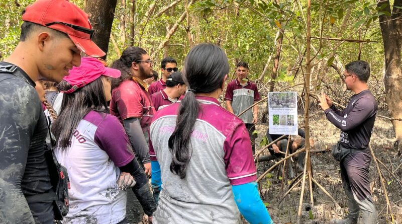 Educação ambiental aproxima estudantes do maior manguezal do planeta