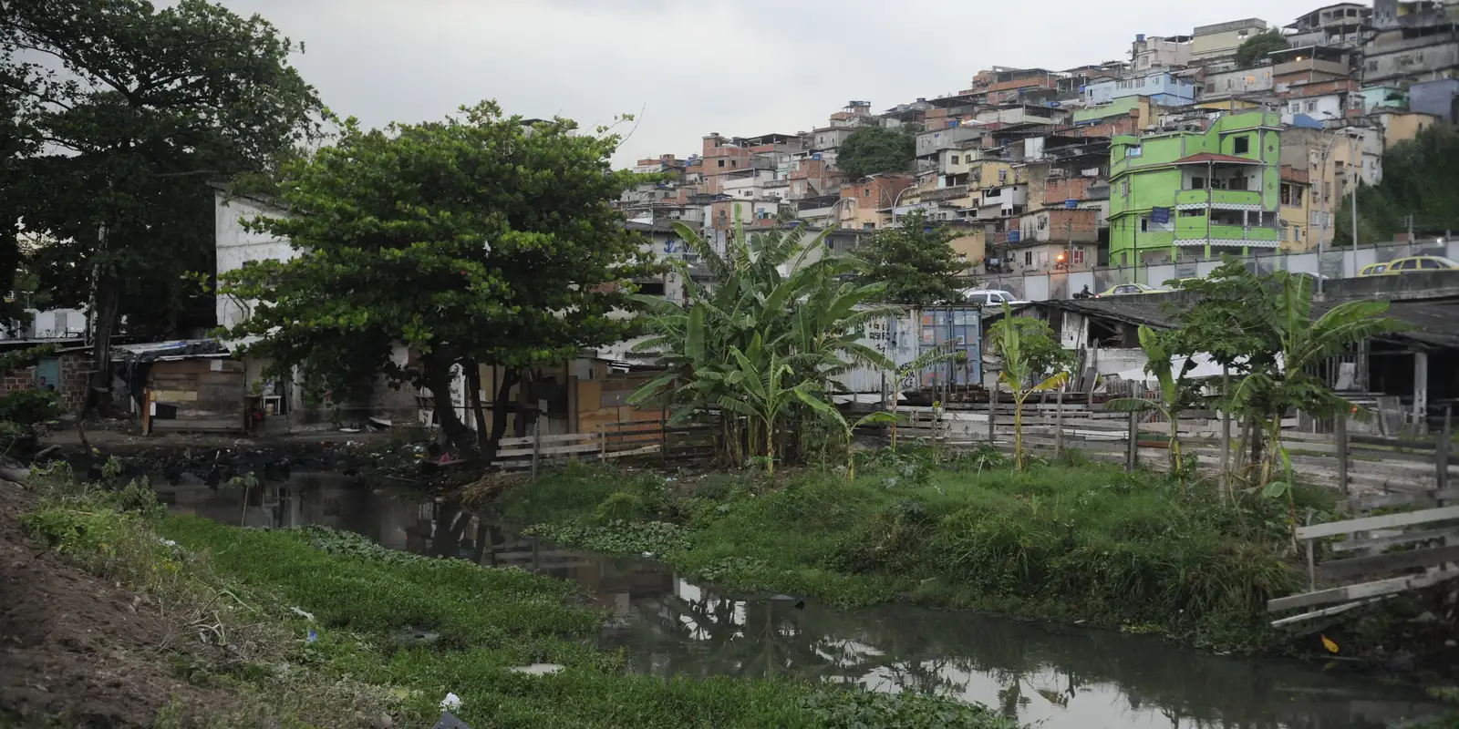 Estudo genético na Maré mostra evolução da covid-19 com impacto global