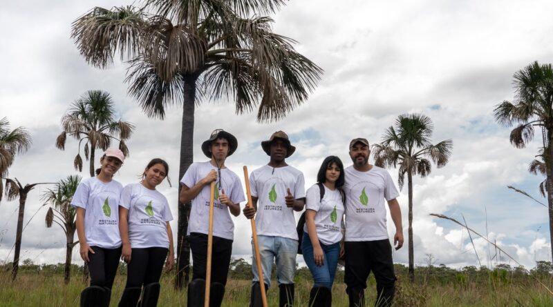 Olimpíada desafia estudantes a restaurar a natureza