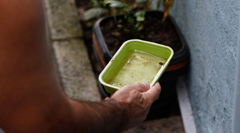 Primeira morte por dengue neste ano é confirmada na cidade de SP