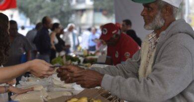 Programa Desenrola Rural entra em vigor nesta segunda-feira