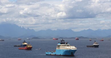 Remoção de navios abandonados na Baía de Guanabara será no 2º semestre