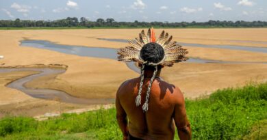 Brasil perde o dobro da área da capital paulista em superfície de água
