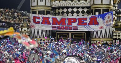 Desfile das campeãs encerra o carnaval paulistano em noite tranquila