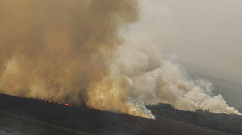 Dino homologa parcialmente plano anti-incêndios na Amazônia e Pantanal