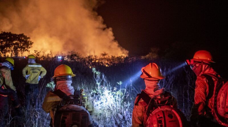 Justiça prolonga uso da Força Nacional em incêndios na Amazônia Legal