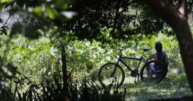Outono começa com previsão de temperaturas acima de média