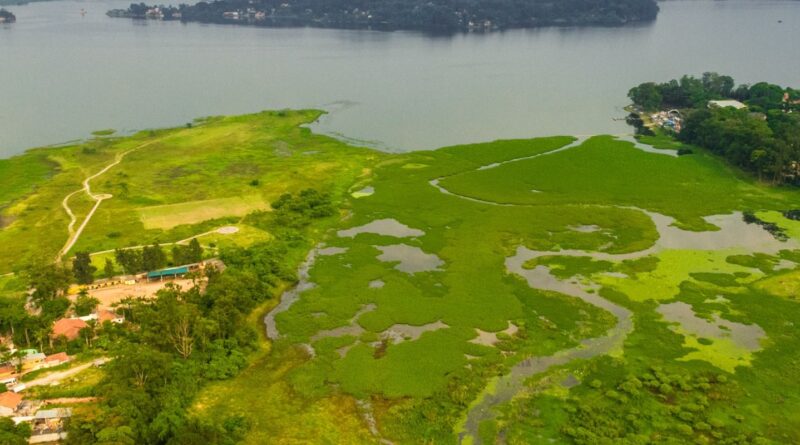 Parque na orla da represa Guarapiranga tem 261 espécies de aves