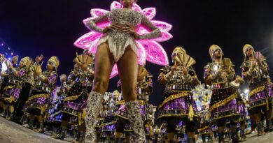 SP: desfile das campeãs será neste sábado; TV Brasil transmite ao vivo