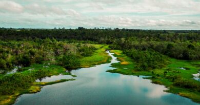 Área de proteção terá trilha ecológica e turismo de base comunitária