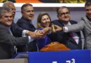 Consórcio Nova Estrada Real vence leilão da Rodovia Rio/Juiz de Fora