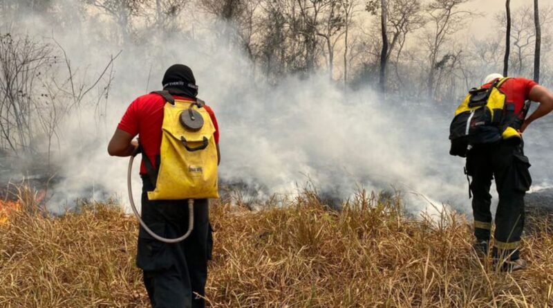 Maranhão terá R$ 45 milhões do Fundo Amazônia para combater incêndios