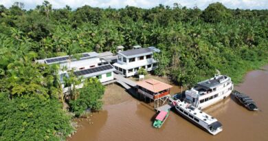 Agroindústria beneficia bioativos com energia limpa na Ilha do Marajó