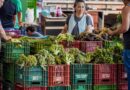Anvisa inicia monitoramento de resíduos de agrotóxicos em alimentos