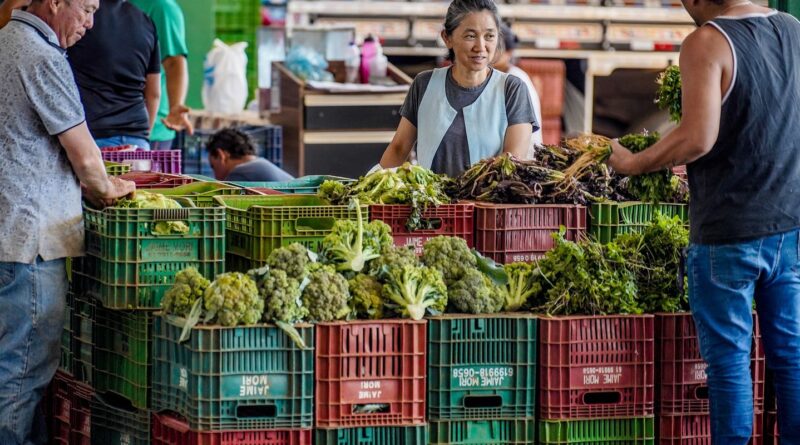 Anvisa inicia monitoramento de resíduos de agrotóxicos em alimentos