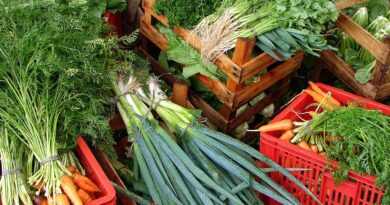 Custo de cesta básica ideal para uma pessoa chega a R$ 432 em abril