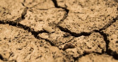Desastres climáticos geram mais R$ 700 bilhões de prejuízo às cidades brasileiros em 12 anos