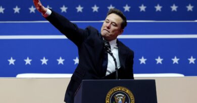 Elon Musk deixa governo Trump e encerra mandato turbulento