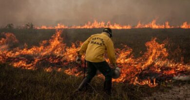 Em dois anos, degradação da Amazônia cresce 163% enquanto desmatamento cai em 54%