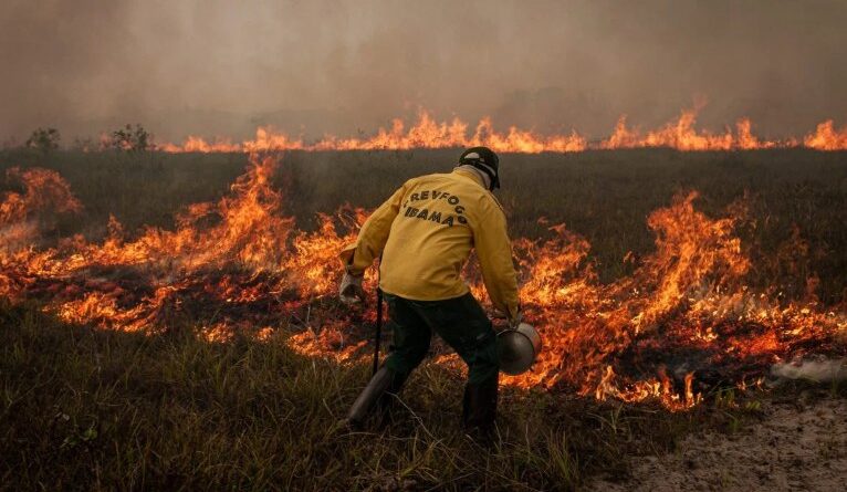 Em dois anos, degradação da Amazônia cresce 163% enquanto desmatamento cai em 54%