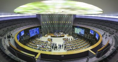 Especialistas vêem manobra jurídica em decisão da Câmara sobre golpe