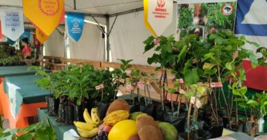 Feira da Reforma Agrária oferece alimentos produzidos por acampamentos