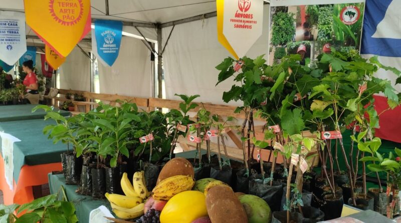 Feira da Reforma Agrária oferece alimentos produzidos por acampamentos