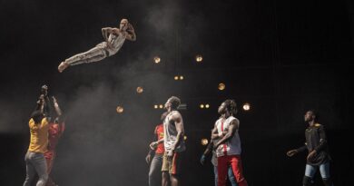 Festival de Circo SP abre inscrição para seleção de projetos
