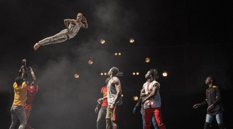 Festival de Circo SP abre inscrição para seleção de projetos