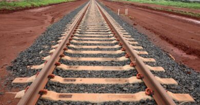 Governo quer leiloar ferrovia EF-118 ainda neste ano, diz ministro